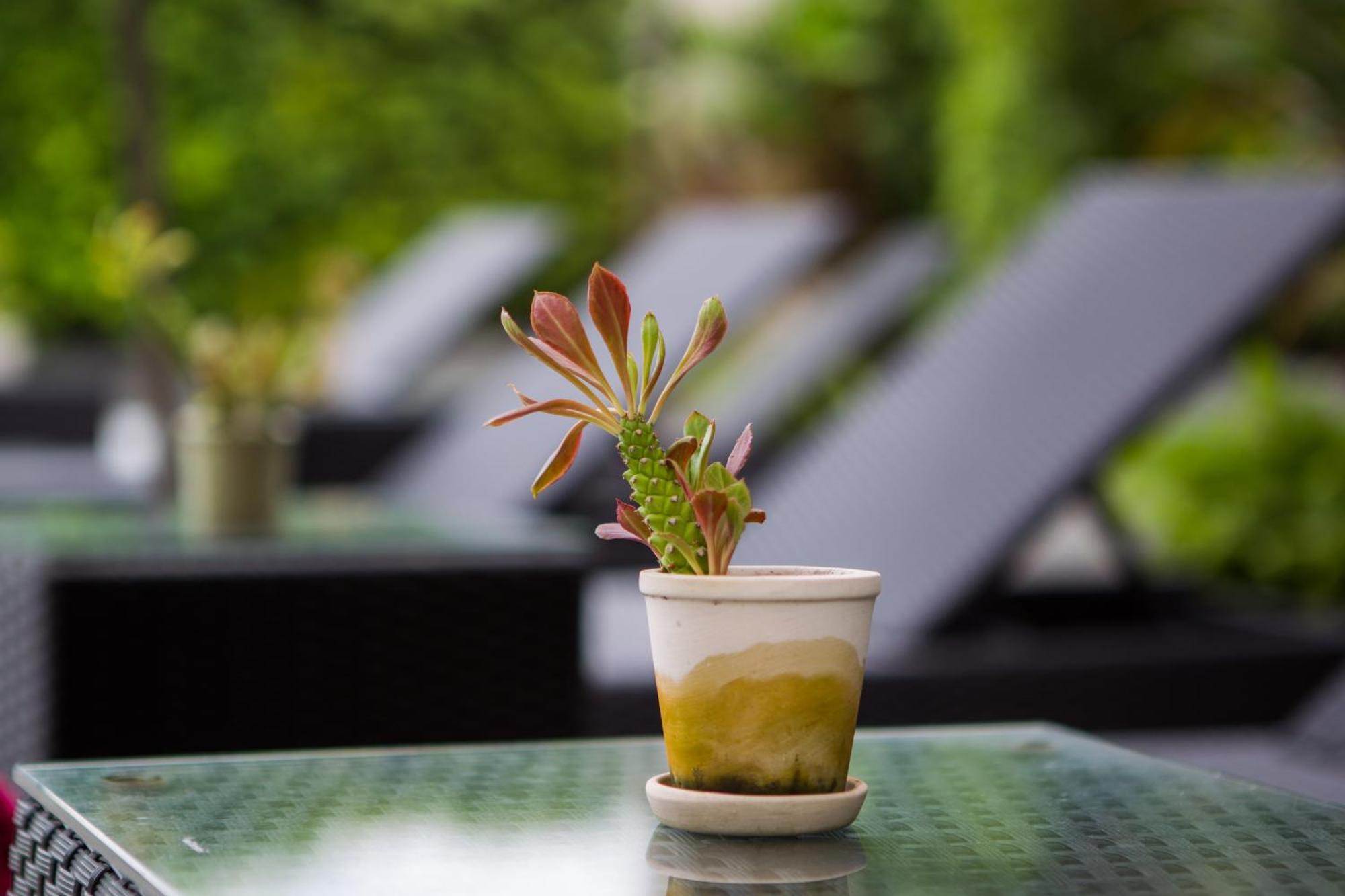 Golden Tulip Essential Pattaya Hotell Eksteriør bilde
